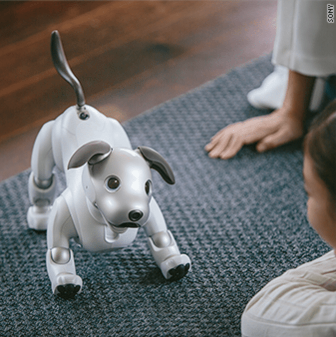 Anna Wiener’s Uncanny Valley is like if Joan Didion wrote a book about&nbsp;Amazon